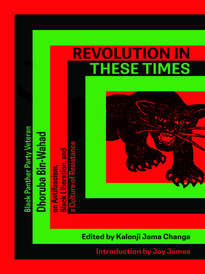 cover image of Revolution In These Times